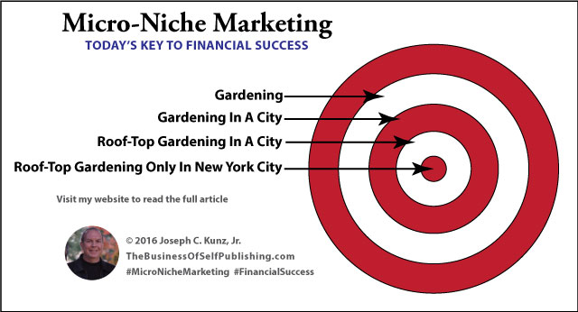 Micro-Niche Marketing Infographic