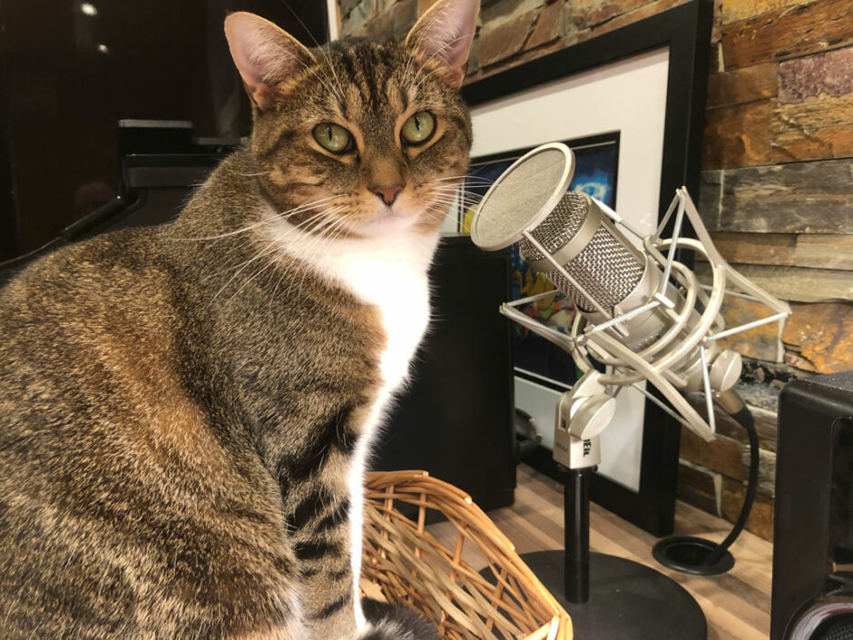 My podcasting assistant is always listening to me, and very quick to give me practical advice.